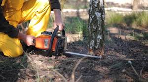 How Our Tree Care Process Works  in  Highland Lakes, NJ